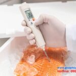 Máy đo nhiệt độ tiếp xúc Testo 106 TopSafe 16 Bộ máy đo nhiệt độ HACCP testo 106
