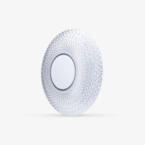 Đèn LED ốp trần Bluetooth Rạng Đông LN22.BLE 500/40W