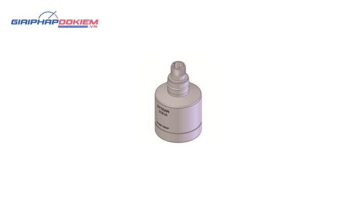 Cảm biến gia tốc Dytran 3191A 1mV/m/s² 5 Cảm biến gia tốc Dytran 3191A 1mV/m/s²