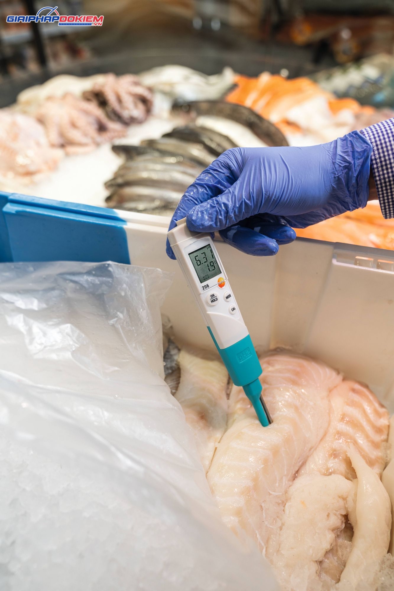 Bộ dụng cụ đo pH/nhiệt độ Testo 206 pH2 (0563 2066) 6 Bộ dụng cụ đo pH/nhiệt độ Testo 206 pH2 (0563 2066)