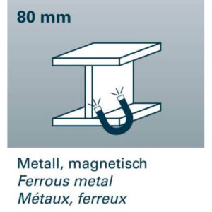 Máy dò kim loại GEO-Fennel FWS 80