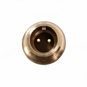 Cảm biến rung công nghiệp IRD IRD521 (100 mV/g, 2 Pin MS, 1/4