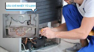 Các Cách Kiểm Tra Cầu Chì Nhiệt Tủ Lạnh Sống Hay Chết? 13 Giới thiệu cầu chì nhiệt tủ lạnh