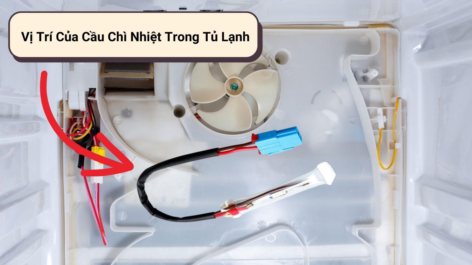 Các Cách Kiểm Tra Cầu Chì Nhiệt Tủ Lạnh Sống Hay Chết? 7 cầu chì nhiệt tủ lạnh
