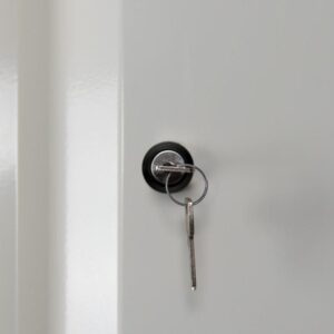 Tủ hồ sơ 2 cửa Ecosafe 765+DE
