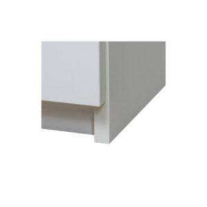 Tủ chống ăn mòn 1 cửa Ecosafe APC32+
