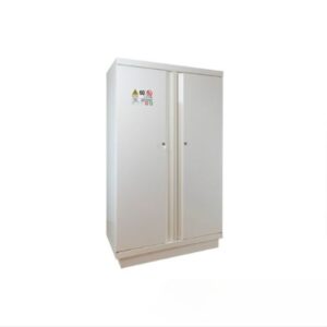 Tủ cao an toàn chống cháy 2 cửa Ecosafe 765+