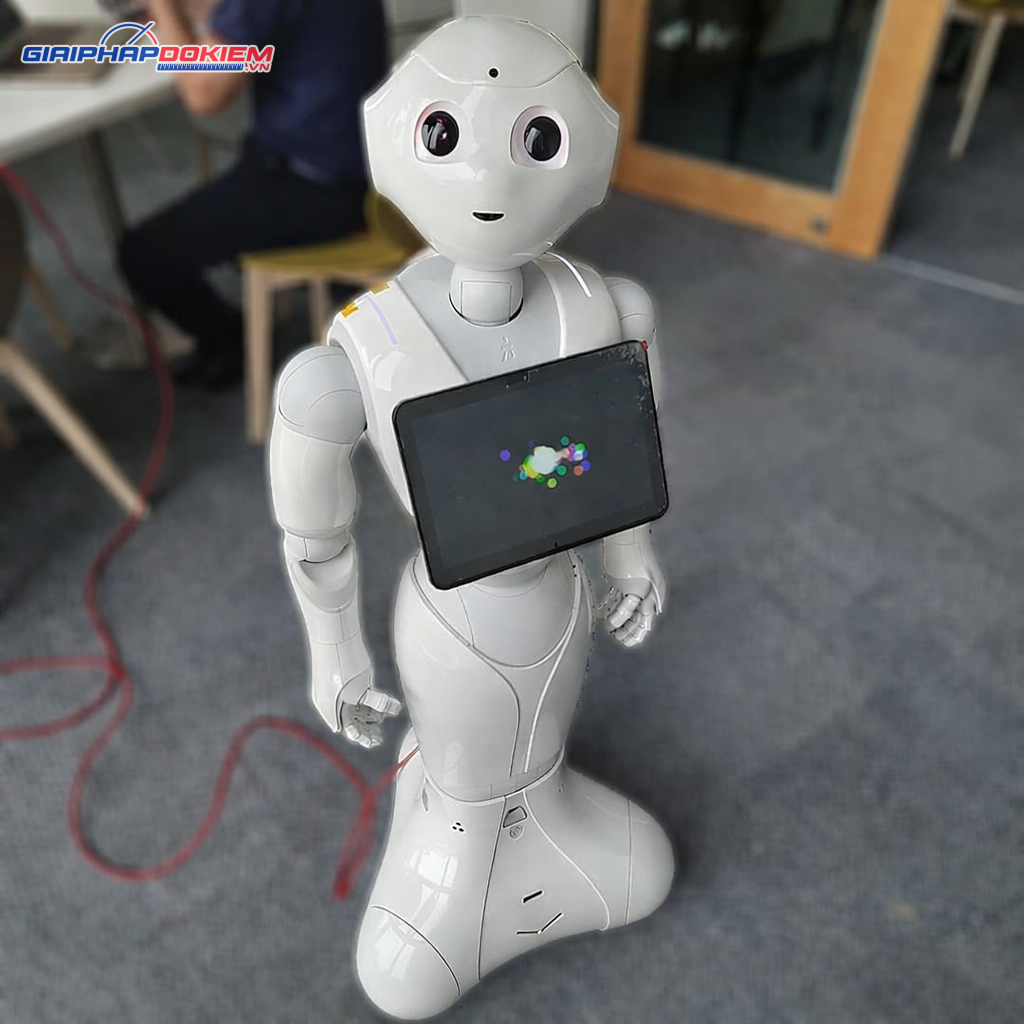 Robot giáo dục Softbank Robotic Pepper 24 Robot giáo dục Softbank Robotic Pepper