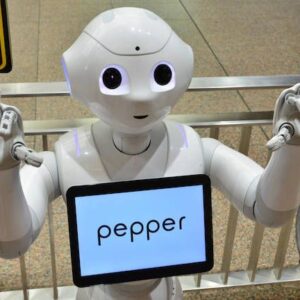 Robot giáo dục Softbank Robotic Pepper 23 Robot giáo dục Softbank Robotic Pepper
