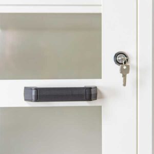 Tủ chống cháy nổ 1 cửa Ecosafe ASV