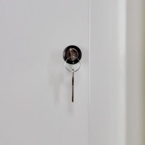 Tủ hồ sơ 2 cửa Ecosafe 763+DE
