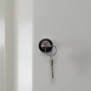 Tủ hồ sơ 2 cửa Ecosafe 795+DE